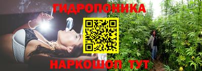 СК Гусев