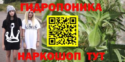 Альфа ПВП Гусиноозёрск