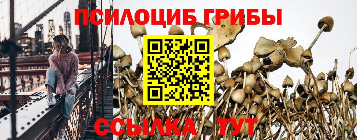 Комсомольск-на-Амуре  Галлюциногенные грибы MAGIC MUSHROOMS  Вход с VPN  Галлюциногенные грибы Cubensis 